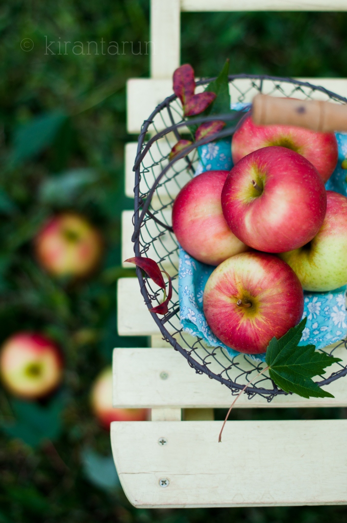 Autumn Apple Sangria  The Kitchen is My Playground