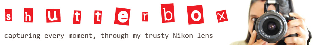 Random header image... Refresh for more!