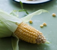 Thumbnail image for Roasted Sweet Corn Pop