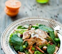 Thumbnail image for Chopped Apple & Chicken Salad w/ Clementine Dressing